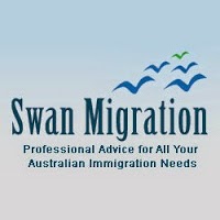 Swan Migration 873676 Image 0